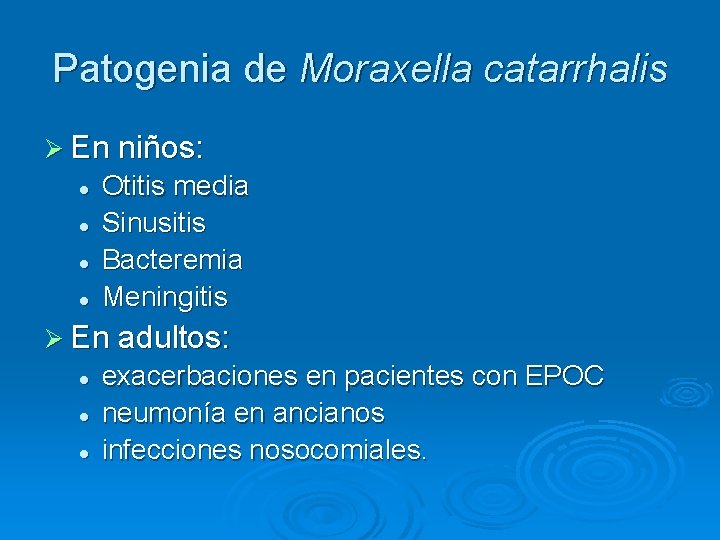 Patogenia de Moraxella catarrhalis Ø En niños: l l Otitis media Sinusitis Bacteremia Meningitis Patogenia de Moraxella catarrhalis Ø En niños: l l Otitis media Sinusitis Bacteremia Meningitis
