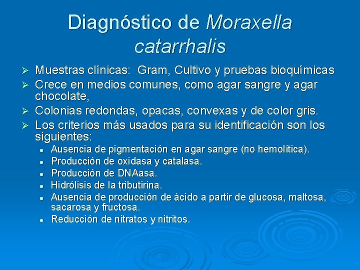 Diagnóstico de Moraxella catarrhalis Muestras clínicas: Gram, Cultivo y pruebas bioquímicas Crece en medios Diagnóstico de Moraxella catarrhalis Muestras clínicas: Gram, Cultivo y pruebas bioquímicas Crece en medios