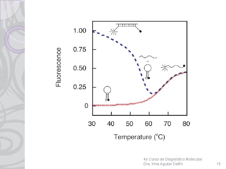 4 o Curso de Diagnóstico Molecular Dra. Irma Aguilar Delfín 15 