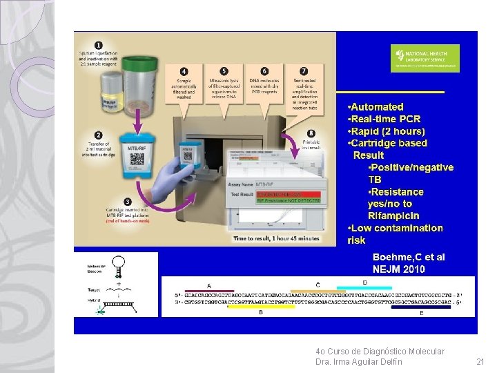 4 o Curso de Diagnóstico Molecular Dra. Irma Aguilar Delfín 21 