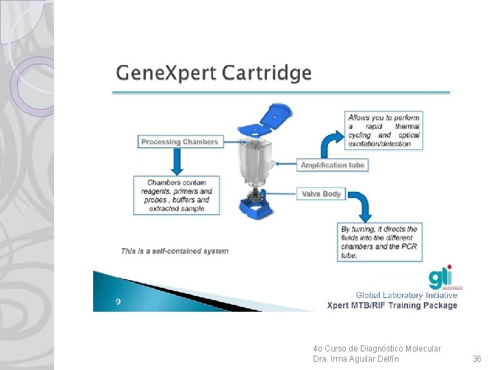4 o Curso de Diagnóstico Molecular Dra. Irma Aguilar Delfín 36 