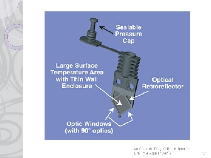 4 o Curso de Diagnóstico Molecular Dra. Irma Aguilar Delfín 37 