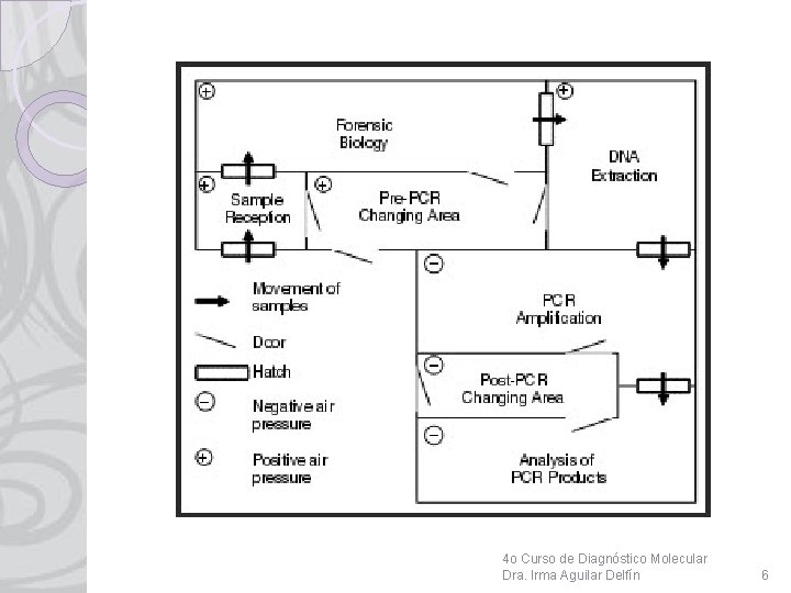 4 o Curso de Diagnóstico Molecular Dra. Irma Aguilar Delfín 6 