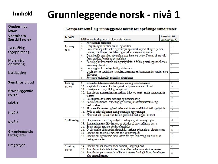 Innhold Opplærings loven Vedtak om Særskilt norsk Tospråklig fagopplæring Morsmåls opplæring Kartlegging Særskilte tilbud