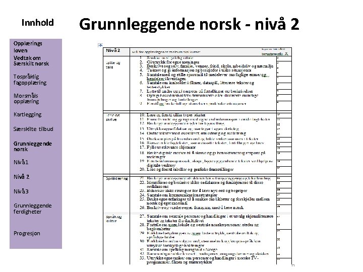 Innhold Opplærings loven Vedtak om Særskilt norsk Tospråklig fagopplæring Morsmåls opplæring Kartlegging Særskilte tilbud