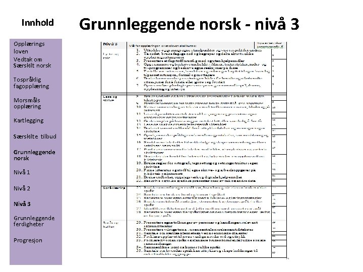 Innhold Opplærings loven Vedtak om Særskilt norsk Tospråklig fagopplæring Morsmåls opplæring Kartlegging Særskilte tilbud