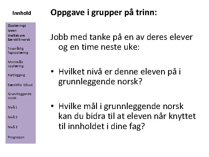 Innhold Opplærings loven Vedtak om Særskilt norsk Tospråklig fagopplæring Morsmåls opplæring Kartlegging Særskilte tilbud