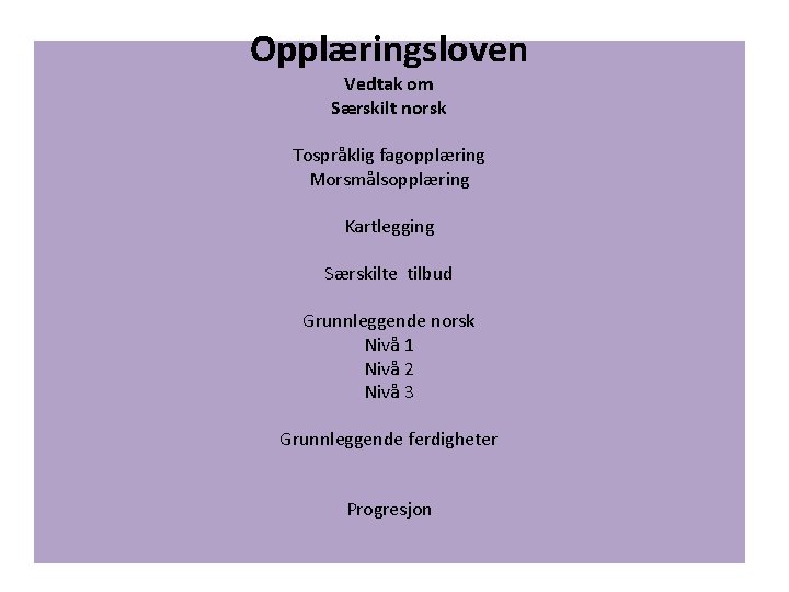 Opplæringsloven Vedtak om Særskilt norsk Tospråklig fagopplæring Morsmålsopplæring Kartlegging Særskilte tilbud Grunnleggende norsk Nivå