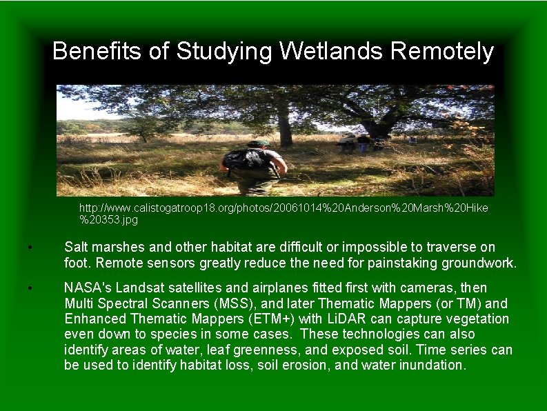 Benefits of Studying Wetlands Remotely http: //www. calistogatroop 18. org/photos/20061014%20 Anderson%20 Marsh%20 Hike %20353.