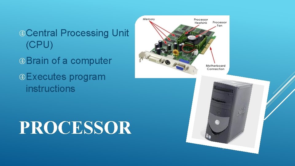  Central Processing Unit (CPU) Brain of a computer Executes program instructions PROCESSOR 