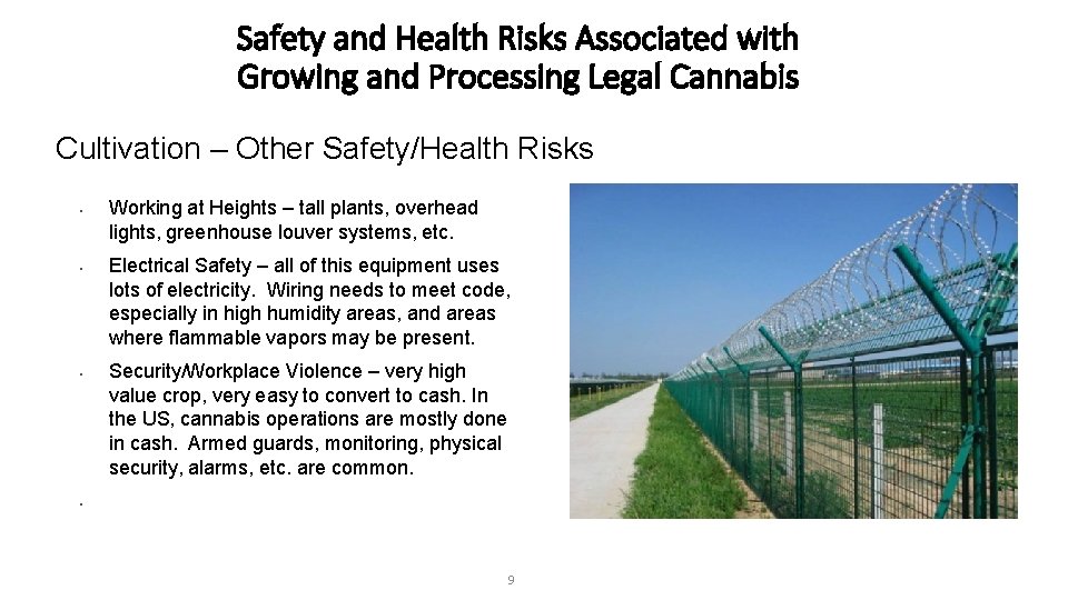 Safety and Health Risks Associated with Growing and