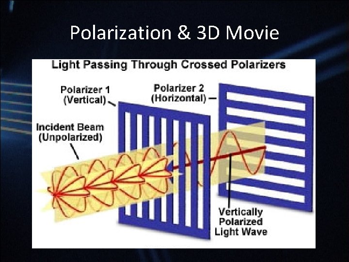 Polarization & 3 D Movie Polarization & 3 D Movie