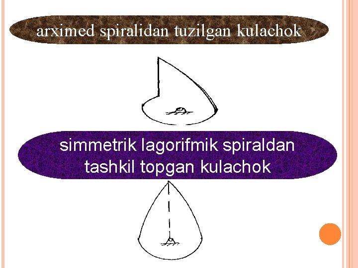 arximed spiralidan tuzilgan kulachok simmetrik lagorifmik spiraldan tashkil topgan kulachok 