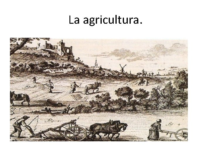 La agricultura. 