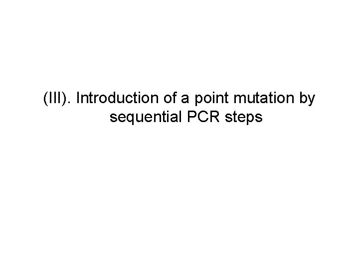 (III). Introduction of a point mutation by sequential PCR steps 