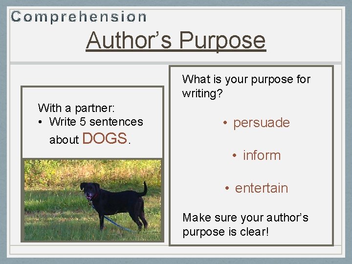 Author’s Purpose What is your purpose for writing? With a partner: • Write 5