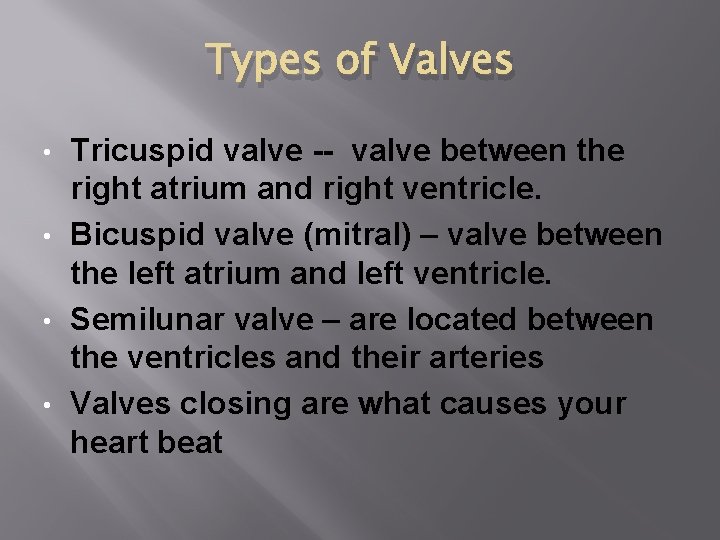 Types of Valves Tricuspid valve -- valve between the right atrium and right ventricle.