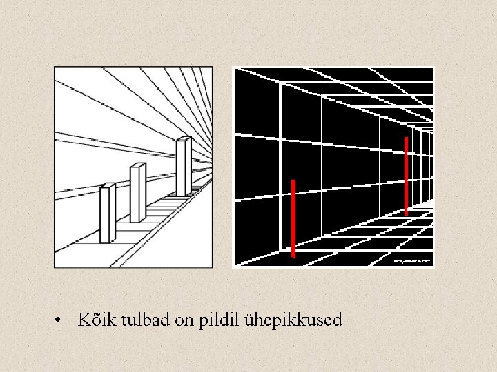  • Kõik tulbad on pildil ühepikkused 