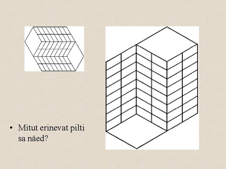  • Mitut erinevat pilti sa näed? 