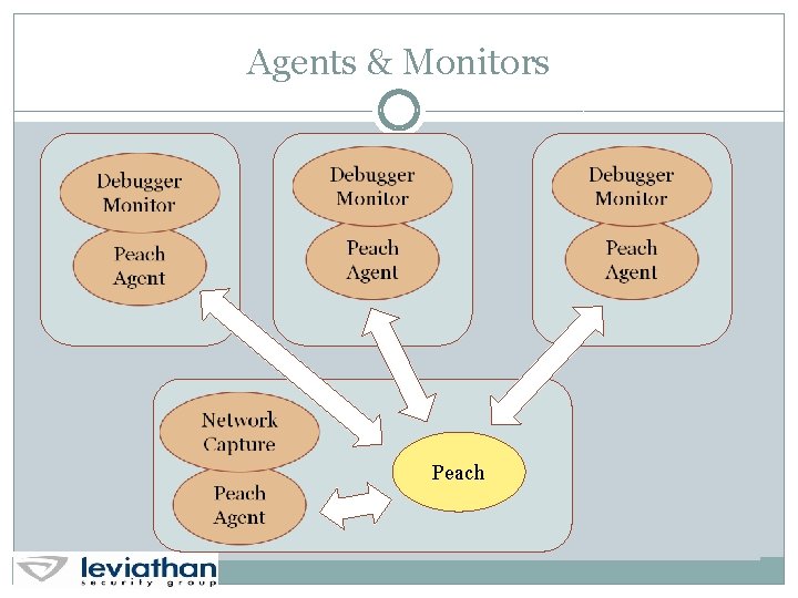 Agents & Monitors Peach 