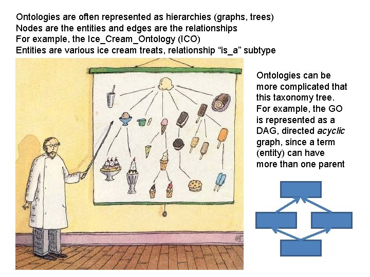 Ontologies are often represented as hierarchies (graphs, trees) Nodes are the entities and edges