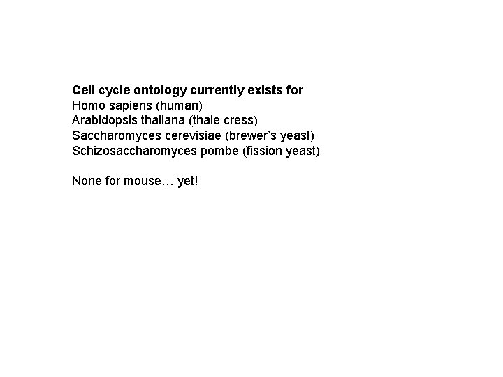 Cell cycle ontology currently exists for Homo sapiens (human) Arabidopsis thaliana (thale cress) Saccharomyces