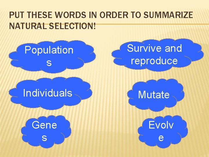 PUT THESE WORDS IN ORDER TO SUMMARIZE NATURAL SELECTION! Population s Survive and reproduce