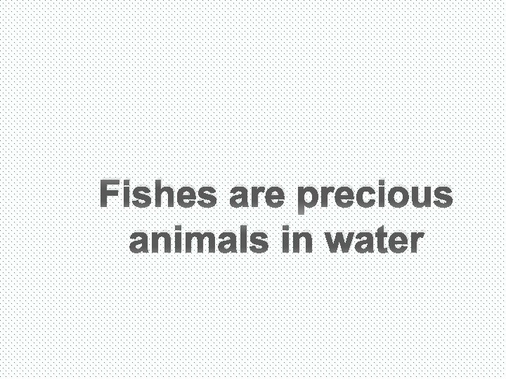 Fishes are precious animals in water 