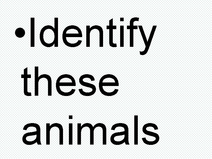  • Identify these animals 