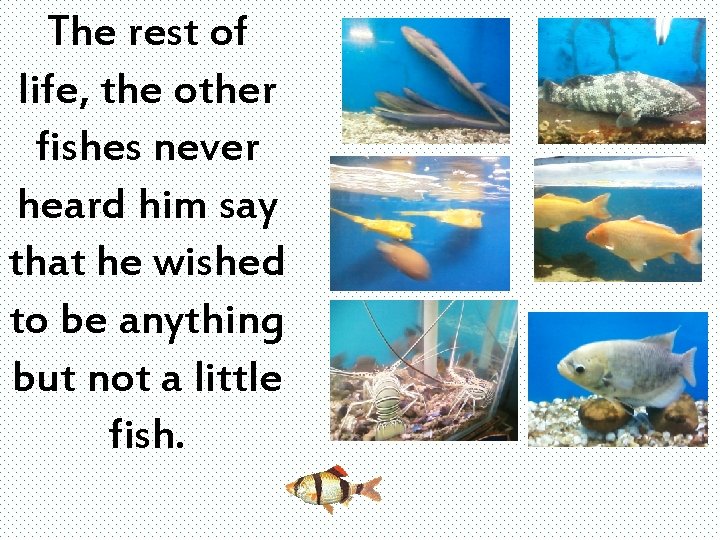 The rest of life, the other fishes never heard him say that he wished
