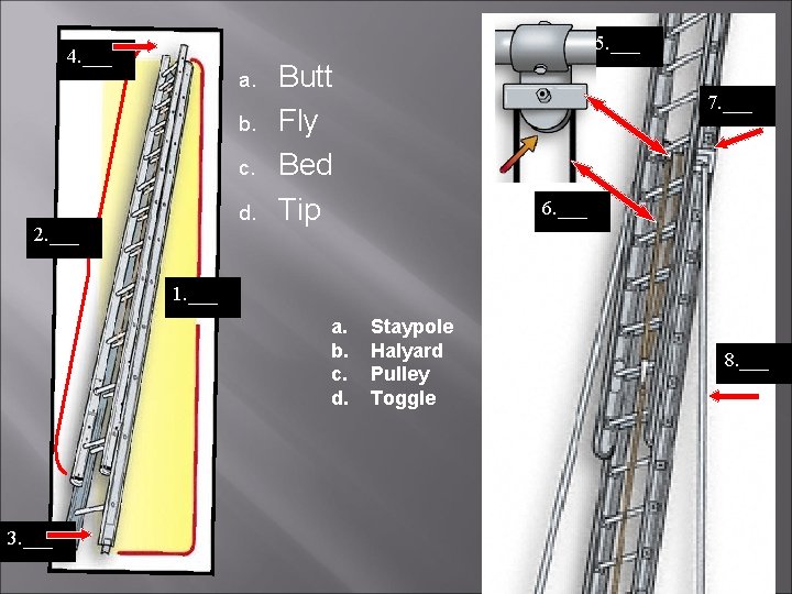 5. ___ 4. ___ a. b. c. d. 2. ___ Butt Fly Bed Tip