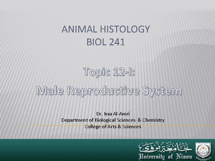 ANIMAL HISTOLOGY BIOL 241 Topic 12 -I: Male Reproductive System Dr. Issa Al-Amri Department