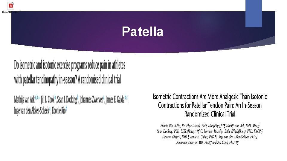 Patella 