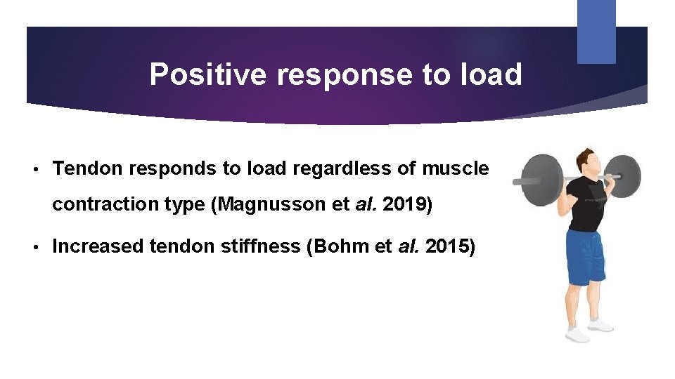 Positive response to load • Tendon responds to load regardless of muscle contraction type