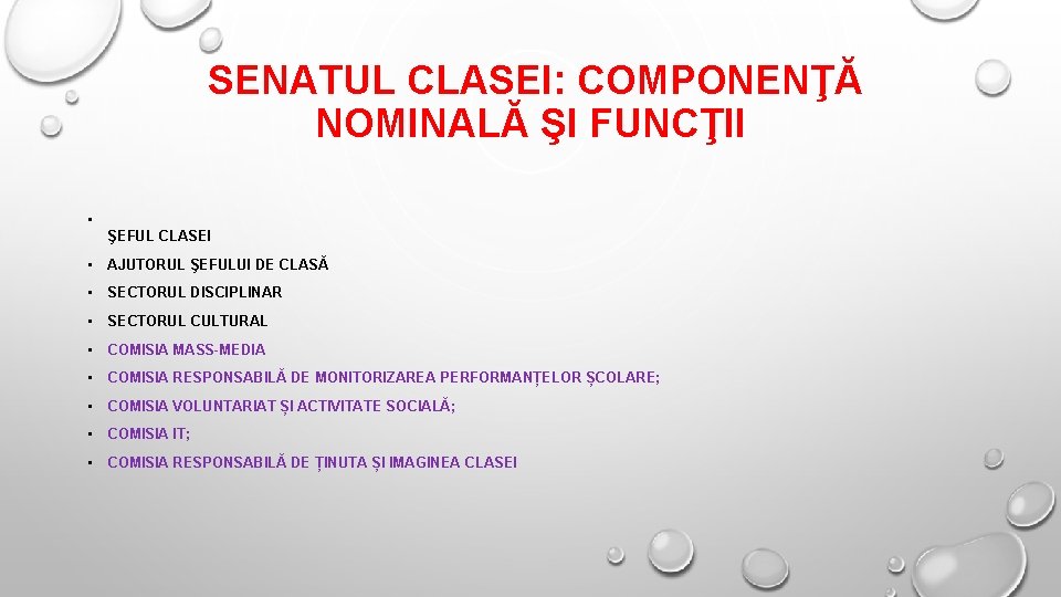 SENATUL CLASEI: COMPONENŢĂ NOMINALĂ ŞI FUNCŢII • ŞEFUL CLASEI • AJUTORUL ŞEFULUI DE CLASĂ