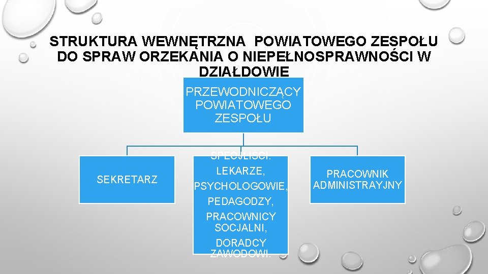 STRUKTURA WEWNĘTRZNA POWIATOWEGO ZESPOŁU DO SPRAW ORZEKANIA O NIEPEŁNOSPRAWNOŚCI W DZIAŁDOWIE PRZEWODNICZĄCY POWIATOWEGO ZESPOŁU