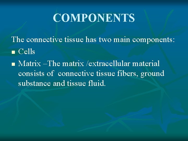 COMPONENTS The connective tissue has two main components: n Cells n Matrix –The matrix