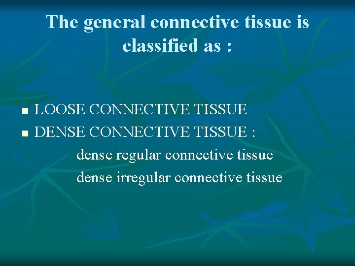 The general connective tissue is classified as : n n LOOSE CONNECTIVE TISSUE DENSE