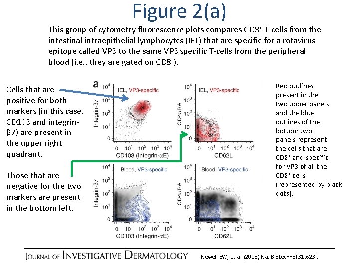 Figure 2(a) This group of cytometry fluorescence plots compares CD 8+ T-cells from the Figure 2(a) This group of cytometry fluorescence plots compares CD 8+ T-cells from the
