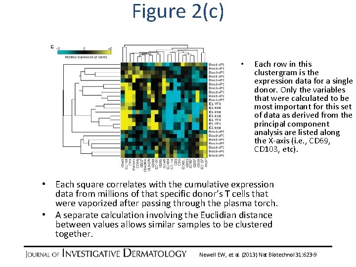 Figure 2(c) • Each row in this clustergram is the expression data for a Figure 2(c) • Each row in this clustergram is the expression data for a