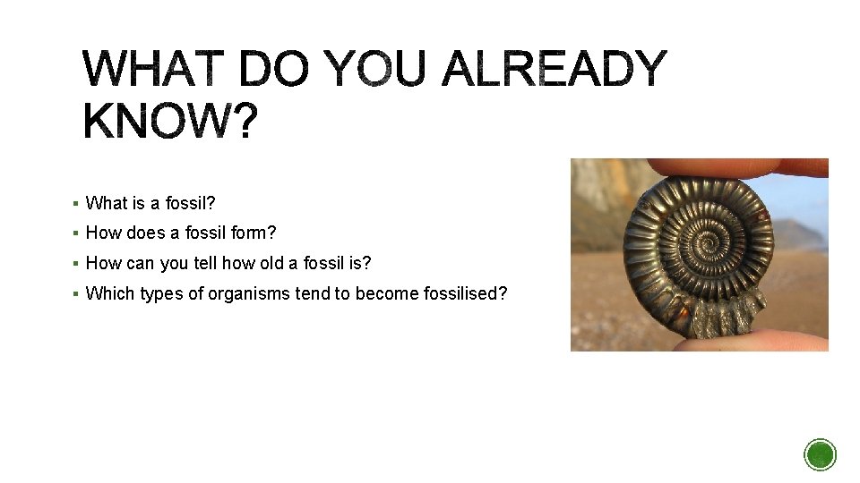 § What is a fossil? § How does a fossil form? § How can § What is a fossil? § How does a fossil form? § How can
