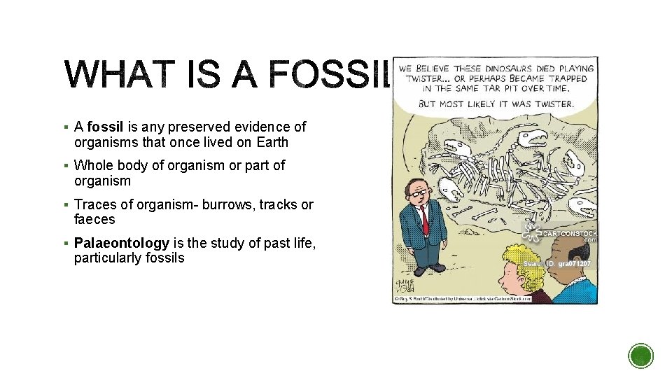 § A fossil is any preserved evidence of organisms that once lived on Earth § A fossil is any preserved evidence of organisms that once lived on Earth
