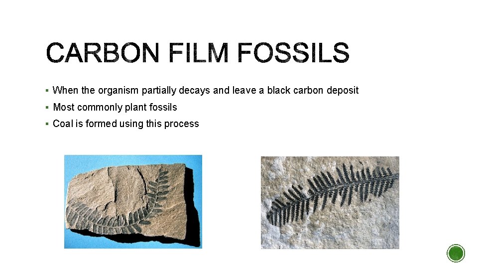 § When the organism partially decays and leave a black carbon deposit § Most § When the organism partially decays and leave a black carbon deposit § Most