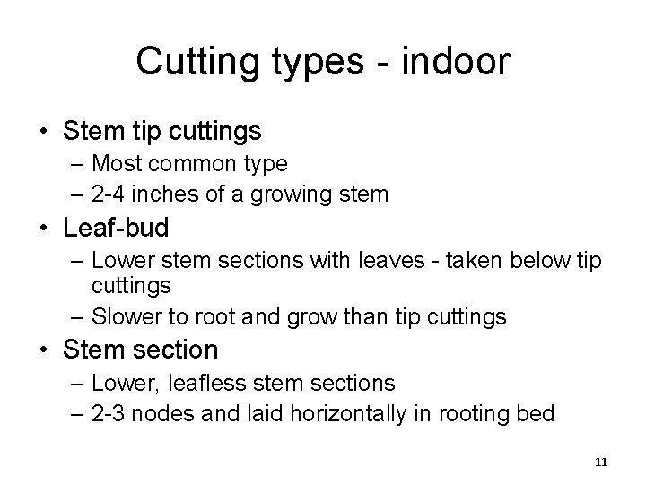 Cutting types - indoor • Stem tip cuttings – Most common type – 2