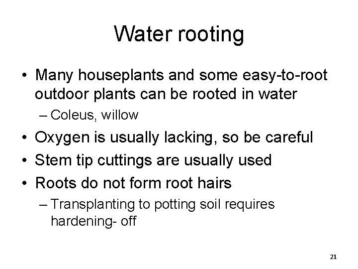 Water rooting • Many houseplants and some easy-to-root outdoor plants can be rooted in