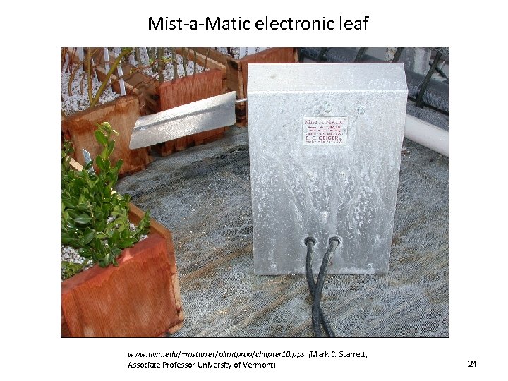 Mist-a-Matic electronic leaf www. uvm. edu/~mstarret/plantprop/chapter 10. pps (Mark C. Starrett, Associate Professor University