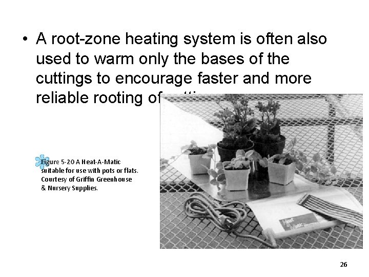 • A root-zone heating system is often also used to warm only the