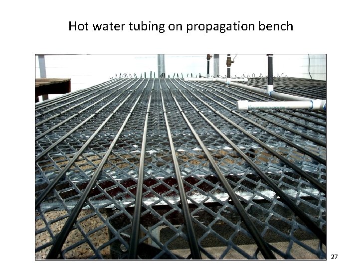 Hot water tubing on propagation bench 27 
