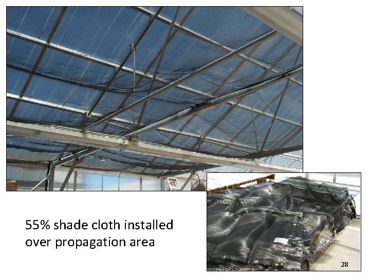 55% shade cloth installed over propagation area 28 