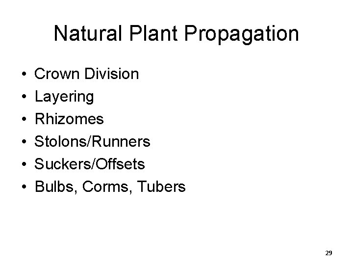 Natural Plant Propagation • • • Crown Division Layering Rhizomes Stolons/Runners Suckers/Offsets Bulbs, Corms,